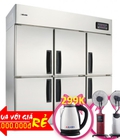 Hình ảnh: Tủ Đông Inox Alaska F 6d Đồng R134a