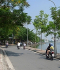 Hình ảnh: Bán đất mặt phố Võng Thị gần Hồ Tây
