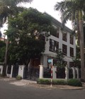 Hình ảnh: Cho thuê biệt thự liên kế cao cấp khu Mỹ Giang 1, Phú Mỹ Hưng giá rẻ