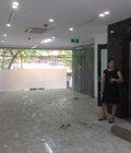 Hình ảnh: Cho thuê nhà 6Tx80m2 Đội Cấn, Ba Đình, Hà Nội. 35tr.th
