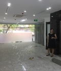Hình ảnh: Cho thuê MB 276m2 Kim Mã Thượng. Ba Đình.