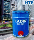 Hình ảnh: Sơn dầu màu nhũ bạc Cadin