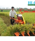Hình ảnh: Máy gặt lúa xếp dãy Vinappro 120 hlc