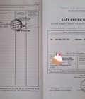 Hình ảnh: Cần bán nhà hẻm 4 tầng Đ.Cống Quỳnh , Nguyễn Cư Trinh Quận 1