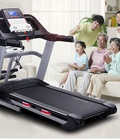 Hình ảnh: Đại Việt Sport Thanh Hóa sự lựa chọn hàng đầu