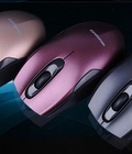 Hình ảnh: chuột newmen f266