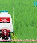 Hình ảnh: Máy phun thuốc trừ sâu Oshima T GX35