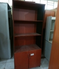 Hình ảnh: Thanh lý tủ hồ sơ 2 cánh nâu T02 giá rẻ