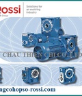 Hình ảnh: Động cơ liền Hộp giảm tốc ROSSI Thương Hiệu Hộp giảm tốc Ý