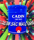 Hình ảnh: Cửa hàng sơn dầu Cadin lấy trực tiếp từ nhà máy Hóc Môn
