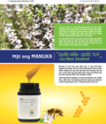 Hình ảnh: CPTM ProNZ phân phối mật ong Manuka cao cấp từ New Zealand