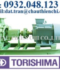Hình ảnh: Máy bơm ty tâm Torishima Torishima Etan