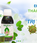 Hình ảnh: Thảo cầm ho Ecolife Trị tận gốc cơn ho