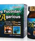 Hình ảnh: King Fucoidan Agaricus Nhật Bản bạn đồng hành của bệnh nhân ung thư