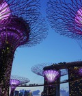 Hình ảnh: Tour Singapore Malaysia từ Đà Nẵng