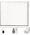 Hình ảnh: Màn Điện có Remote 100 Inch ELS180