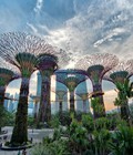 Hình ảnh: Tour du lịch Singapore 4 ngày 3 đêm