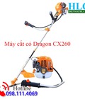 Hình ảnh: Giá bán lẻ máy cắt cỏ Dragon chính hãng tại Đắk Nông