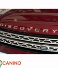 Hình ảnh: Decal chữ Discovery 3D Canino trên ô tô