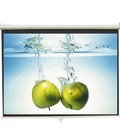 Hình ảnh: Màn Điện có Remote 100 Inch ELS180