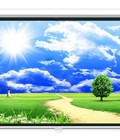 Hình ảnh: Màn chiếu điện có Remote ELV 240 120 Inch