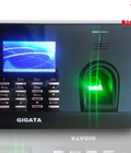 Hình ảnh: Máy chấm công GIGATA 839