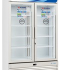 Hình ảnh: Tủ Mát Inverter Alaska SL 12CI