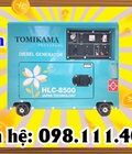 Hình ảnh: Máy phát điện chạy xăng Tomikama 4800S