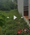 Hình ảnh: Bán Đất Ấp Tân Hưng, Lý Văn Lâm, Thành phố Cà Mau