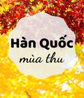 Hình ảnh: Săn ảnh sắc Thu Hàn Quốc với Tour Hàn Quốc 5N4Đ