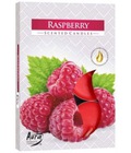 Hình ảnh: Hộp 6 nến thơm tinh dầu Tealight Bispol Raspberry - dâu rừng