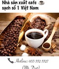 Hình ảnh: Chuyên Cung Cấp Hạt Cafe: 100% Hạt mộc, Robusta s16, Culi s16, Moka s16