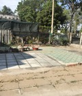 Hình ảnh: Tôi cần cho thuê Đất 70m2 tại Mặt tiền đường Trần Văn Nam, P3. Tân An, Long An.