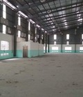 Hình ảnh: Cho thuê nhà xưởng 1010m2 tại Vĩnh Phúc trong khu CN Bình Xuyên