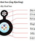 Hình ảnh: Dây cáp quang 2fo ống lỏng
