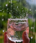 Hình ảnh: Dùng nước mưa để ăn uống có thực sự tốt như bạn nghĩ