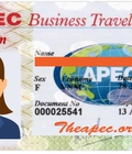 Hình ảnh: Đối tượng nào được cấp thẻ APEC