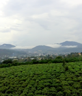 Hình ảnh: Khu nghỉ dưỡng 2000 m2, view đỉnh núi nhìn ra ql20, cách trung Bảo Lộc tâm 6 km