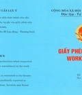 Hình ảnh: Thủ tục làm giấy phép lao động thẻ tạm trú cho người nước ngoài tại Việt Nam