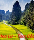 Hình ảnh: Tour ghép Ninh Bình 1 ngày: Hoa Lư Tam Cốc khởi hành hằng ngày