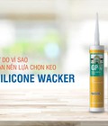 Hình ảnh: 6 Lí Do Vì Sao Bạn Nên Lựa Chọn Keo Silicone Wacker