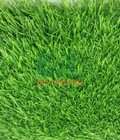 Hình ảnh: Cỏ nhân tạo lót nền màu xanh đậm