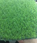 Hình ảnh: Cỏ Sân vường 04
