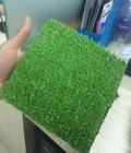 Hình ảnh: Cỏ Sân vường trang trí trên tường.
