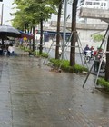 Hình ảnh: Bán đất oto đỗ cửa ở sát mặt đường Phạm Văn Đồng , Bắc Từ Liêm