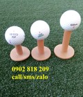Hình ảnh: Tee golf