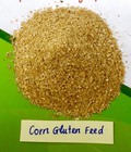 Hình ảnh: Corn Gluten Feed ( Cám bắp) 