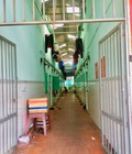 Hình ảnh: NGON Về HN bán gấp dãy trọ 16p kcn, 1 tỉ 4, sổ hồng