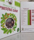 Hình ảnh: Hạt macca Gia Lai thơm ngon, giòn béo, rất cần cho bà bầu