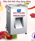 Hình ảnh: Máy thái thịt sống dạng đứng 4897
